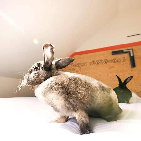 Greet Gare Flandres - Groupe Accor 2*