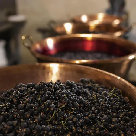 Greet Gare Flandres - Groupe Accor