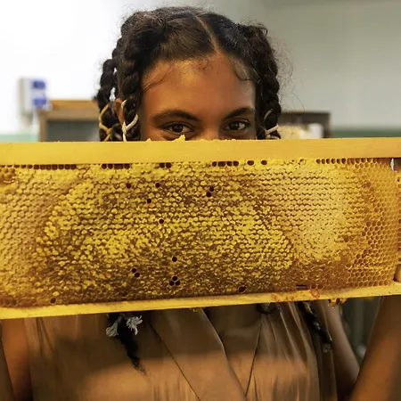 Greet Gare Flandres - Groupe Accor 2* Lille