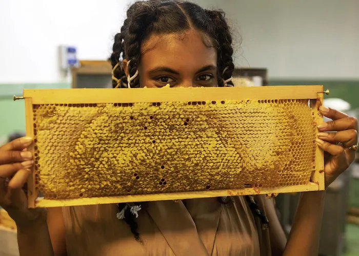 Greet Gare Flandres - Groupe Accor 2* Lille